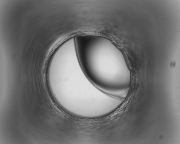 X0000097900197200803141014
