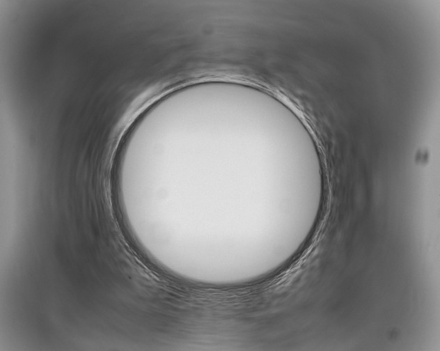 X0000097900199200803141014