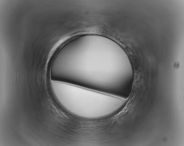 X0000097900200200803141014
