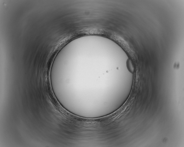 X0000097900202200803141014