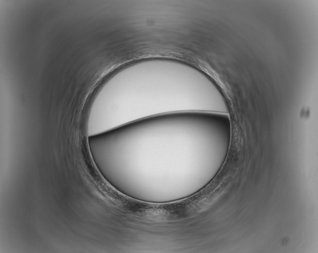 X0000097900203200803141014