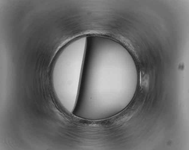X0000097900204200803141014