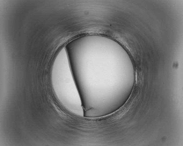 X0000097900205200803141014