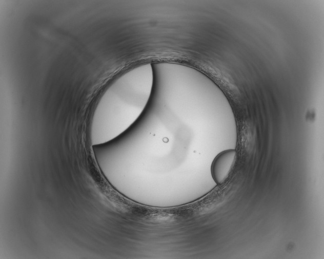 X0000097900206200803141014