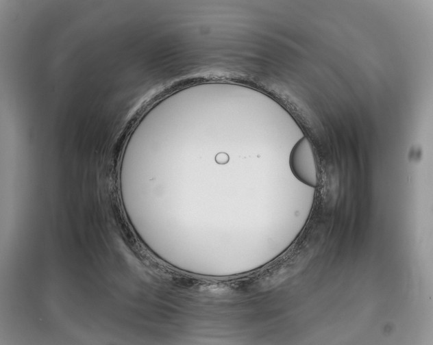 X0000097900208200803141014
