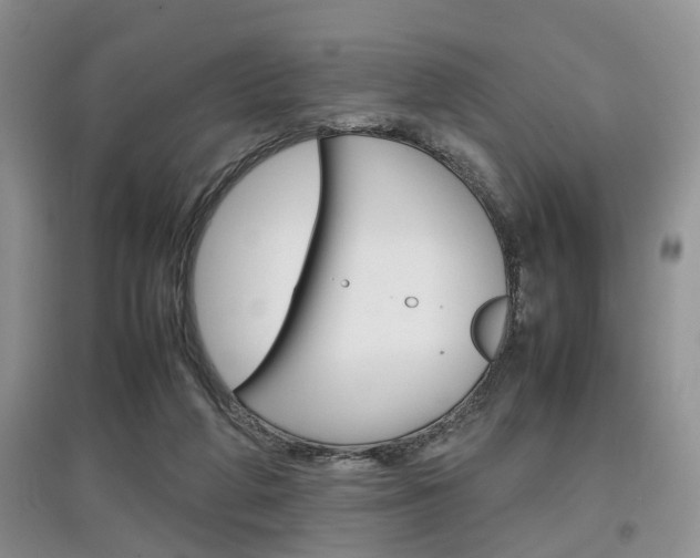 X0000097900210200803141014
