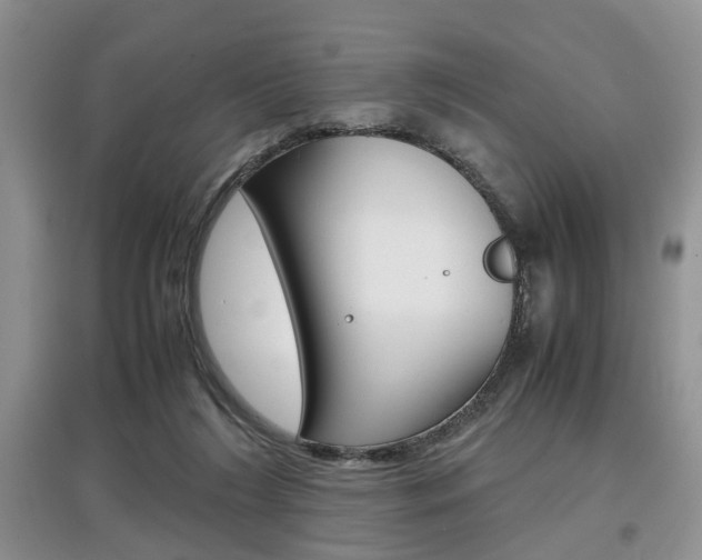 X0000097900212200803141014
