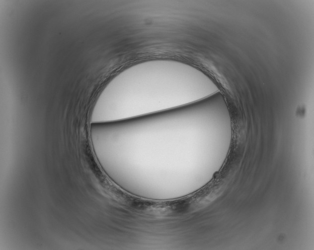 X0000097900213200803141014