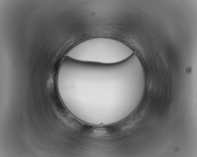 X0000097900214200803141014