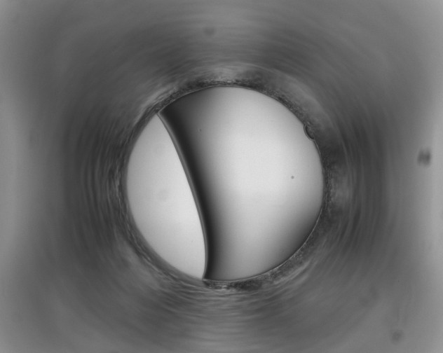X0000097900216200803141014