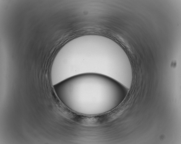 X0000097900217200803141014