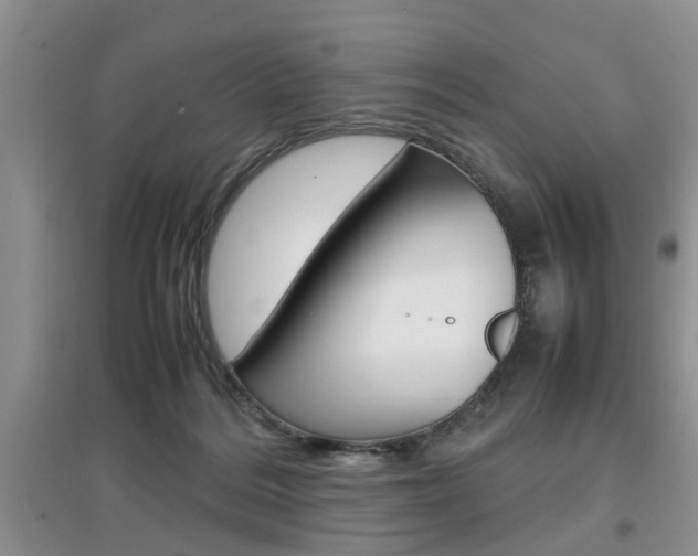 X0000097900220200803141014