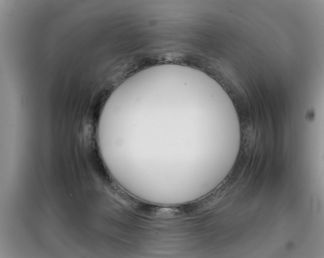 X0000097900222200803141014