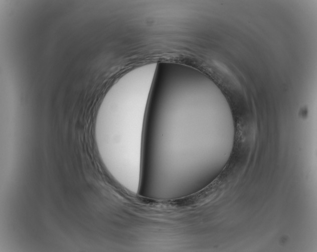 X0000097900223200803141014