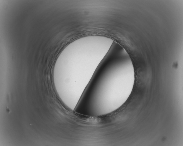 X0000097900225200803141014
