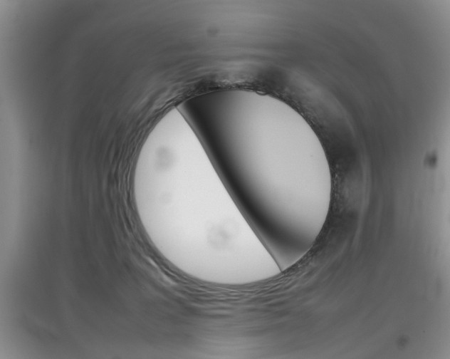 X0000097900227200803141014