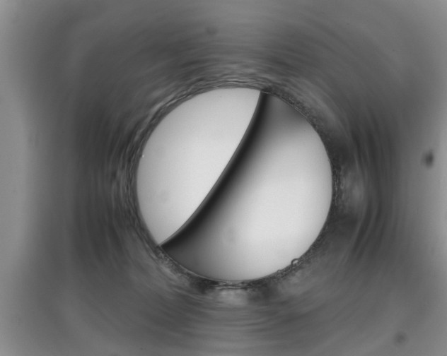 X0000097900228200803141013