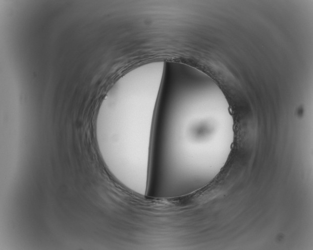X0000097900229200803141013