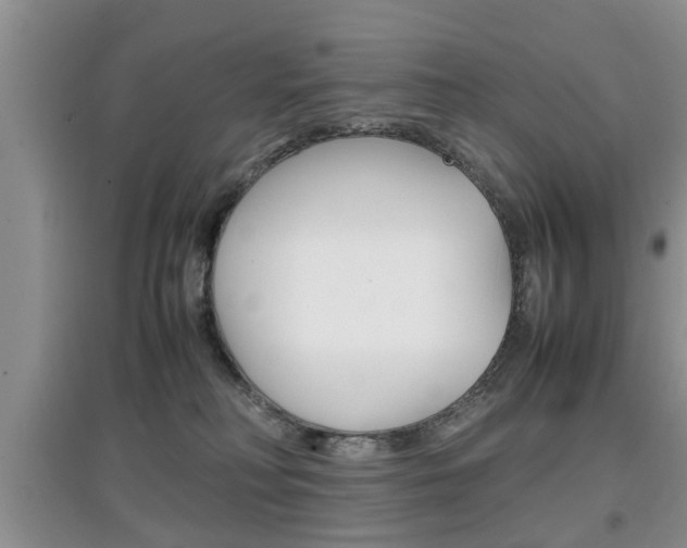 X0000097900230200803141013