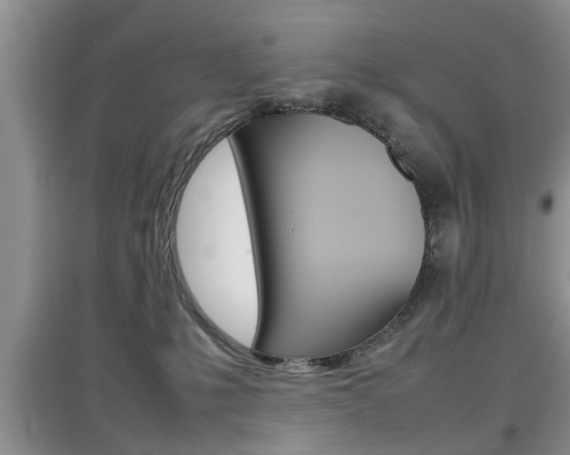 X0000097900231200803141013
