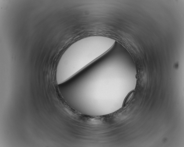 X0000097900232200803141013
