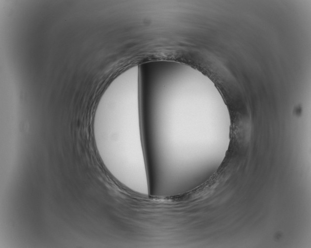 X0000097900233200803141013