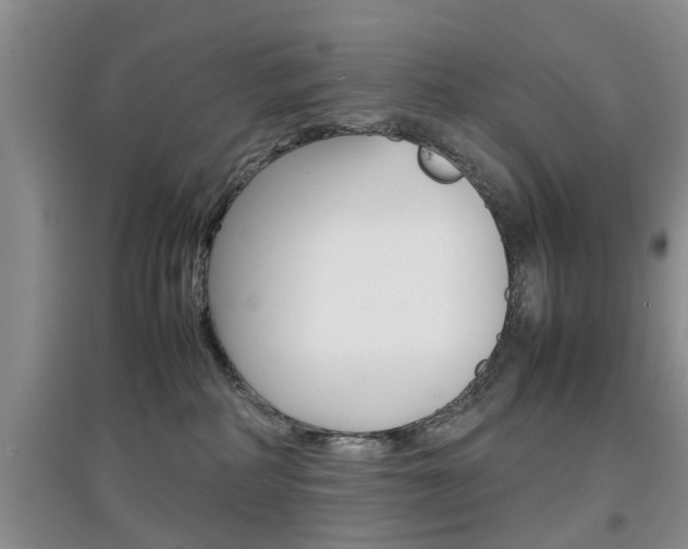 X0000097900234200803141013