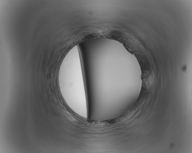 X0000097900235200803141013