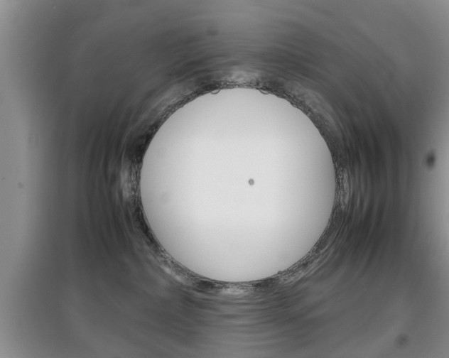 X0000097900236200803141013