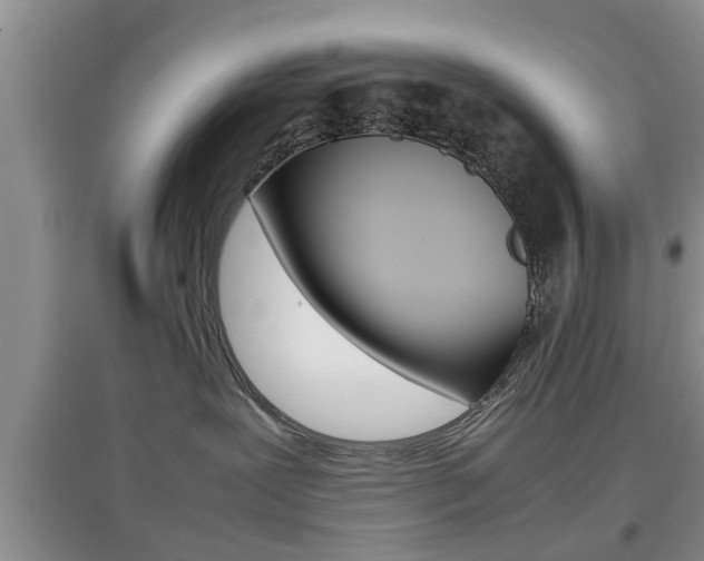 X0000097900239200803141013
