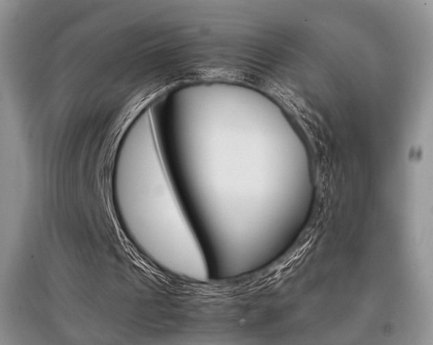 X0000097900241200803141013