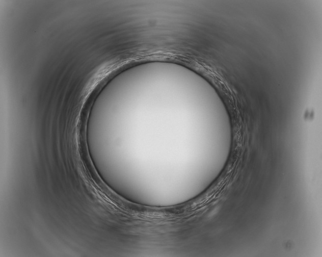 X0000097900242200803141013