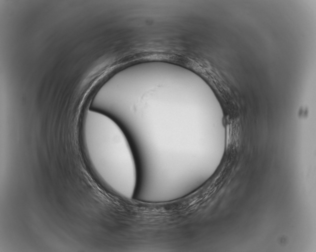 X0000097900243200803141013