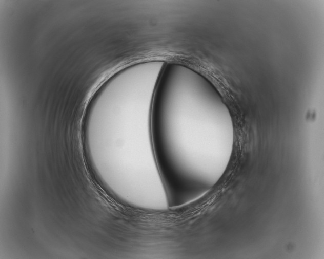 X0000097900244200803141013