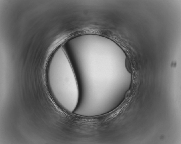 X0000097900245200803141013