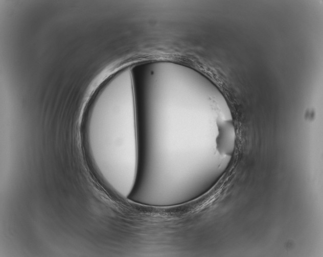 X0000097900246200803141013
