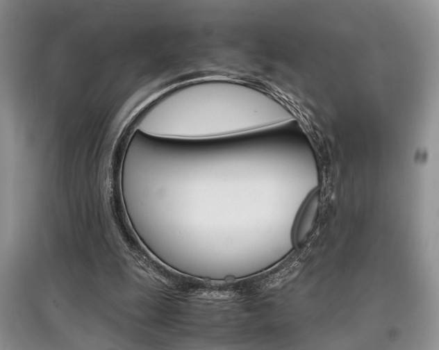 X0000097900247200803141013