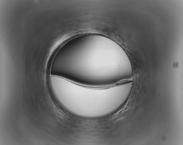 X0000097900248200803141013