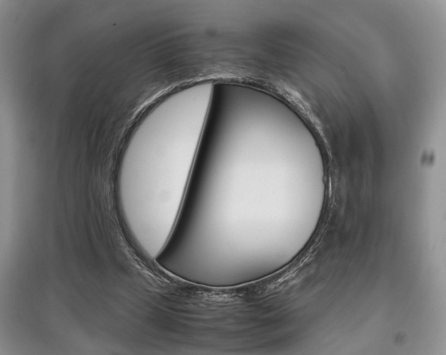 X0000097900249200803141013