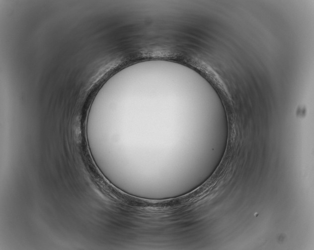 X0000097900251200803141013