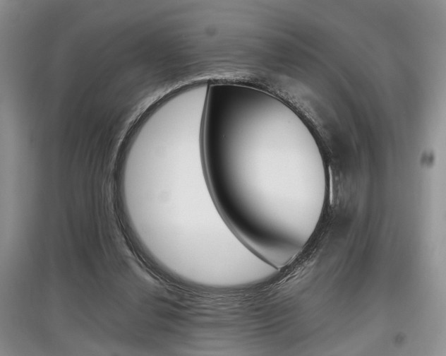 X0000097900252200803141013