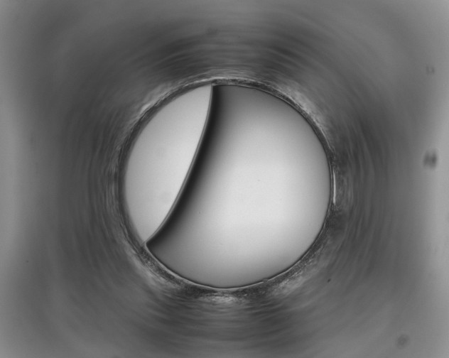 X0000097900253200803141013