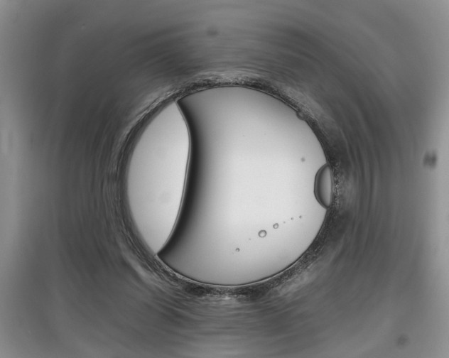 X0000097900254200803141013