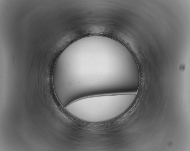 X0000097900257200803141013