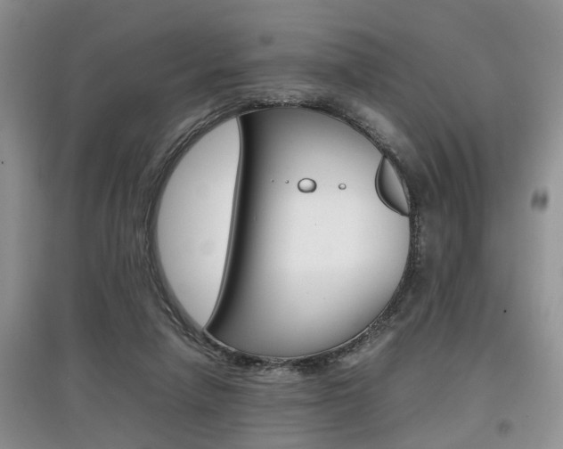X0000097900258200803141013