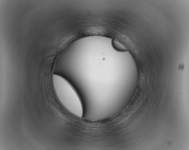 X0000097900259200803141013
