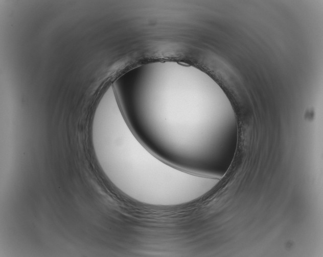 X0000097900260200803141013
