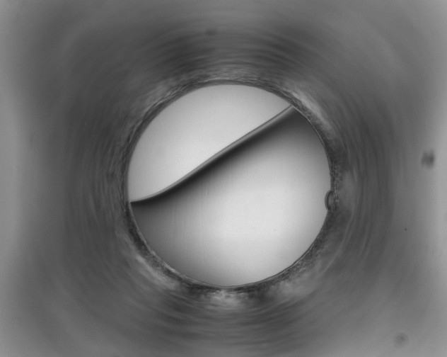 X0000097900261200803141013
