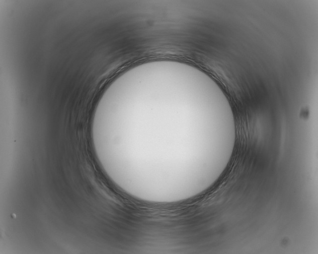 X0000097900262200803141013