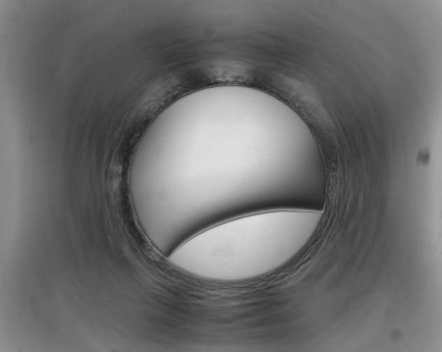 X0000097900263200803141013